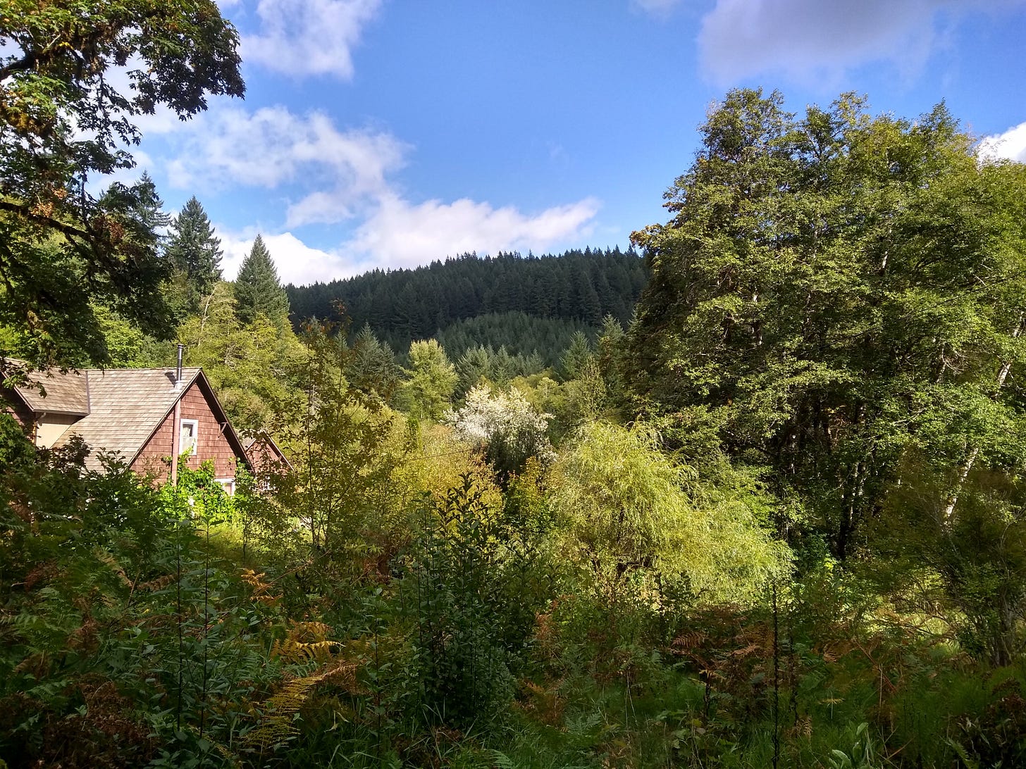 A view across the tree-filled valley to the hills, with the house peeking up on the left.