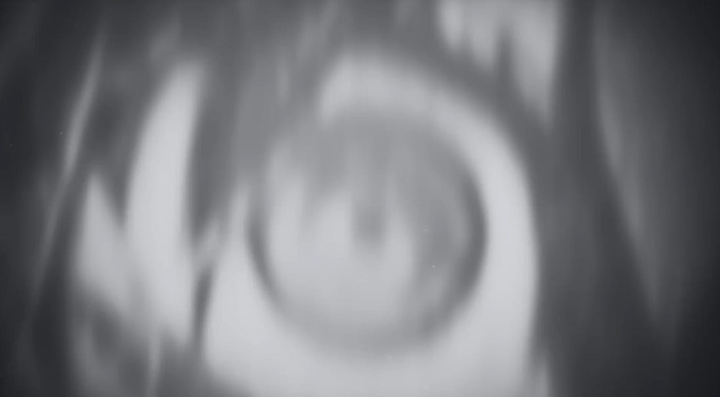 A greyscale, blurred, shot of Unika's eye.