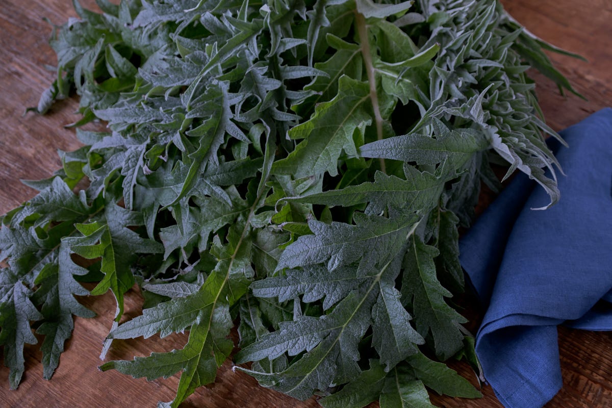 cardoon tops with a napkin cardoon tops with a napkin