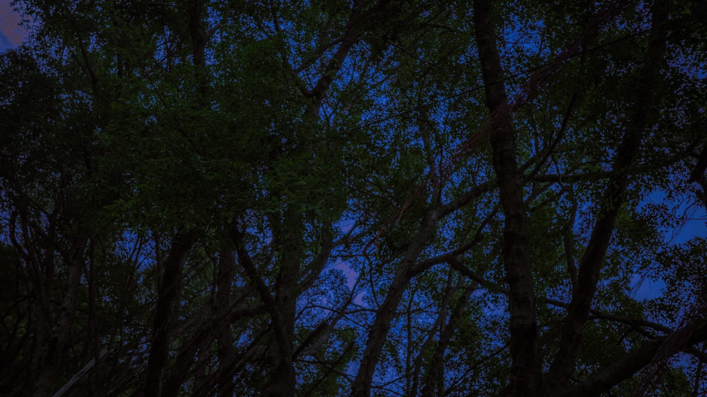 Ghostbirth 2 – The Graveyard Scene