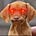 Smackkdogg30's avatar