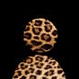 wangui.'s avatar