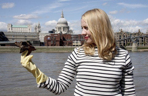 Rebecca Lowrey Boyd in London