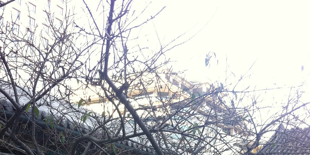 Sharp China: All Eyes on Iran; Two Sessions Questions; Alibaba, DeepSeek and Distillation; Another UK Spying Scandal