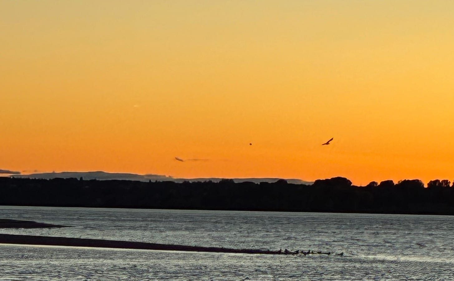 Sunset over water with birds.
