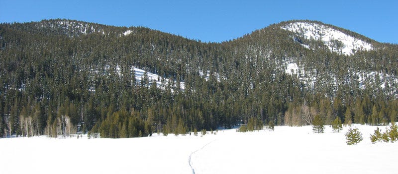 Waterhouse Peak 9497′ - The BackCountry Waterhouse Peak 9497′ - The BackCountry
