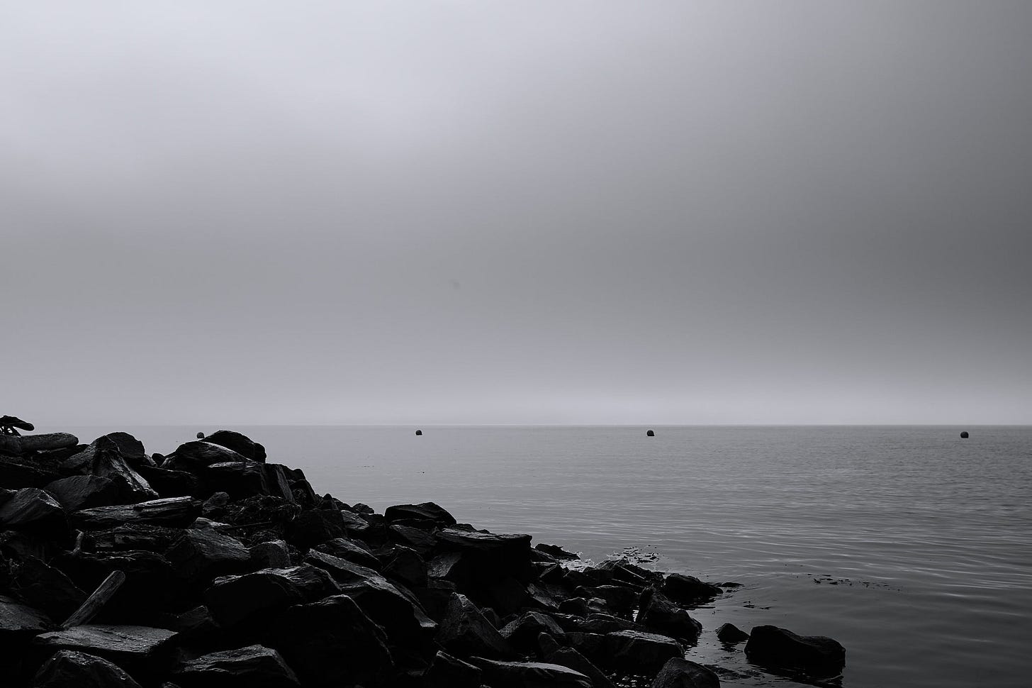 walk-about photo made with Canon 5Ds