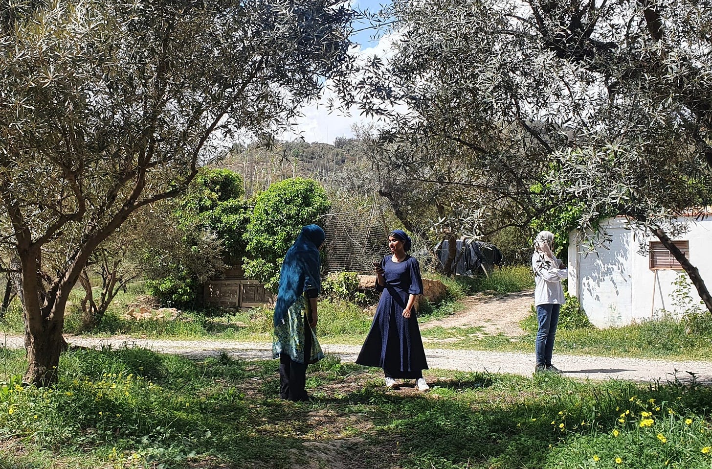 233387ee-dba3-4fe6-b970-6baebe8a9229.jpeg 233387ee-dba3-4fe6-b970-6baebe8a9229.jpeg