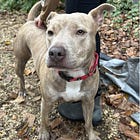 Contrarian Rescue of the Week