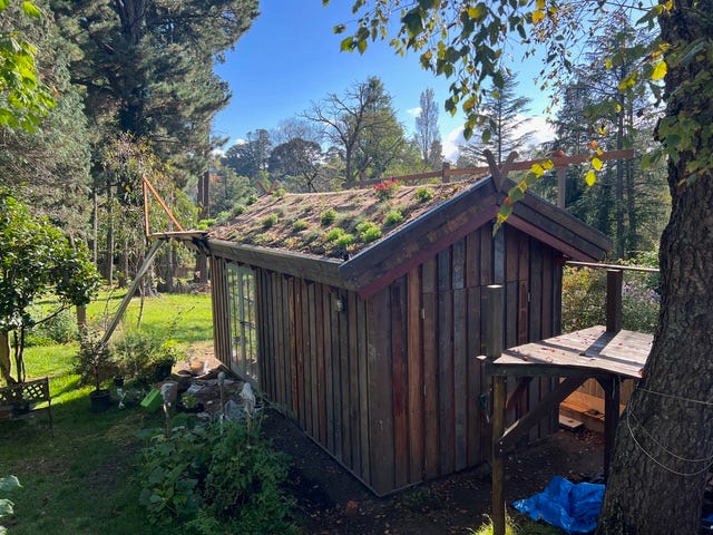 10. Immediately after the first planting. 10. Immediately after the first planting.