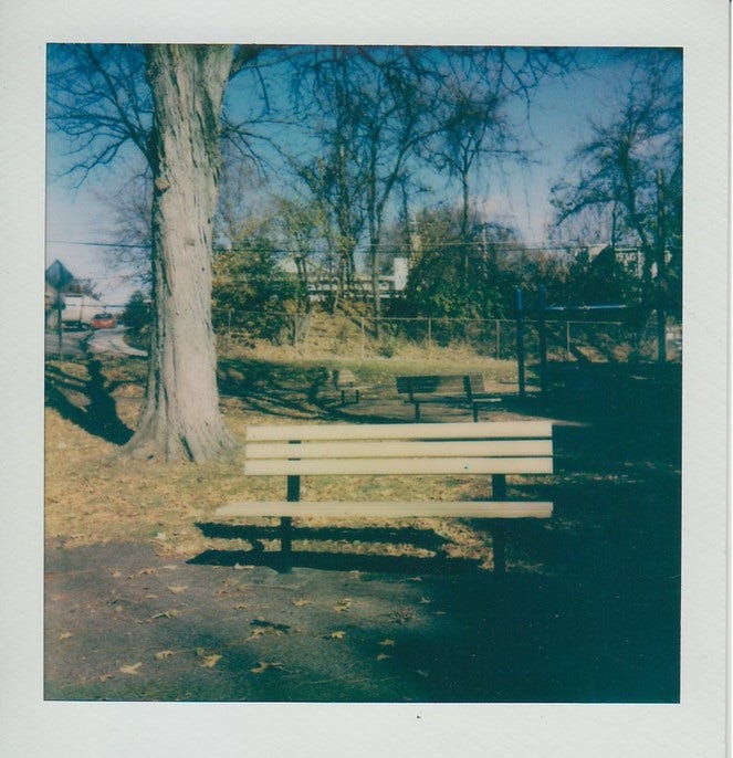 Marmaduke Park, Brighton Heights