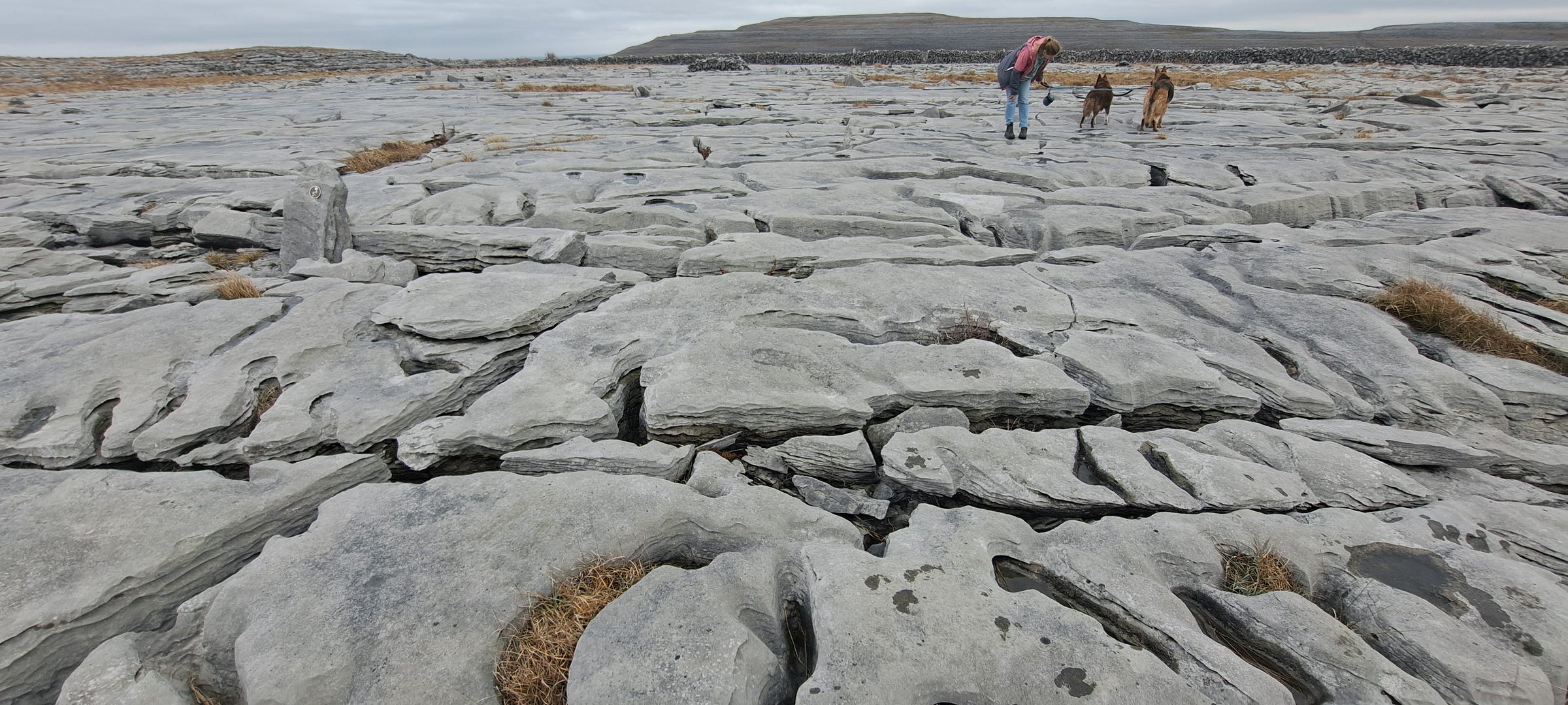The layered grey limestone plateau of the Burren criss-crossed with fissures called grikes. The sky is very pale blue and in the distance rise dark heather covered hills. A woman stands off to the right with two dogs on leads. The layered grey limestone plateau of the Burren criss-crossed with fissures called grikes. The sky is very pale blue and in the distance rise dark heather covered hills. A woman stands off to the right with two dogs on leads.