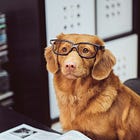 I Analyzed My Substack Niche—Here’s Where I Stand (And How You Compare!)
