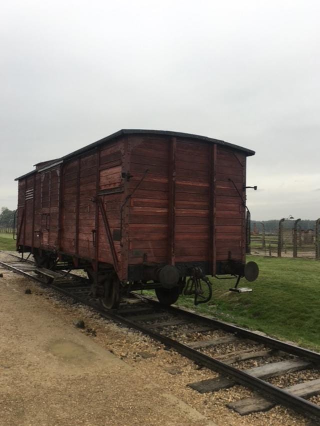 Holocaust Remembrance Day in a Country Losing Its Memory