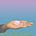 Molly R Surno Davis's avatar