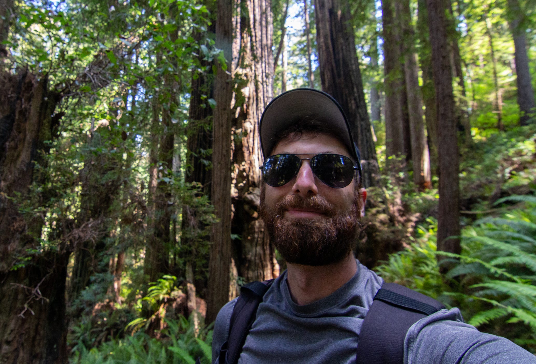 Alex Torpey's substack