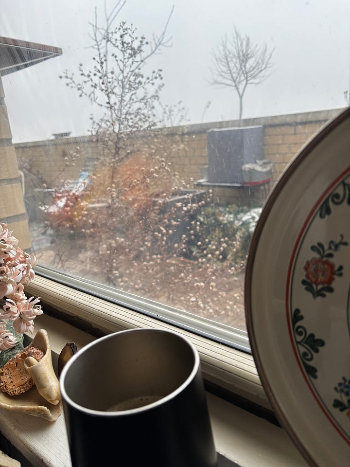 A collage of two images. On the left, a thermal coffee mug sits in front of a window looking over a snowy scene. In the right, there's a closeup of the bubble patterns in the coffee milk.