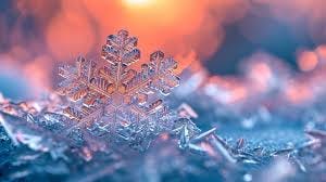 Free Ethereal Snowflake Close-up Image ...