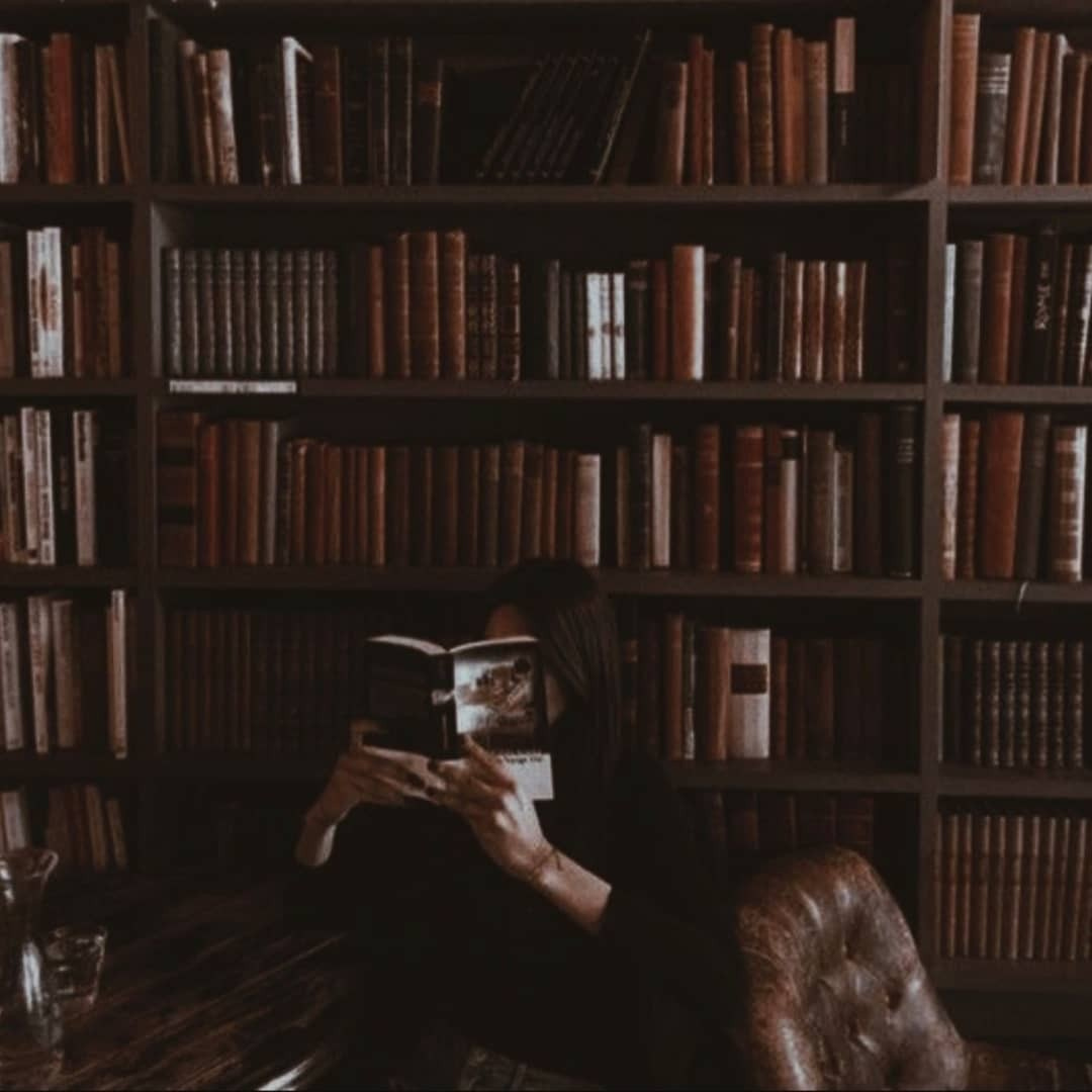An Instagram  post added on Jan 24, 2024. The author is @strawberry_moon_19. May present: library, the alcatraz escape, brown, bookcase, furniture.