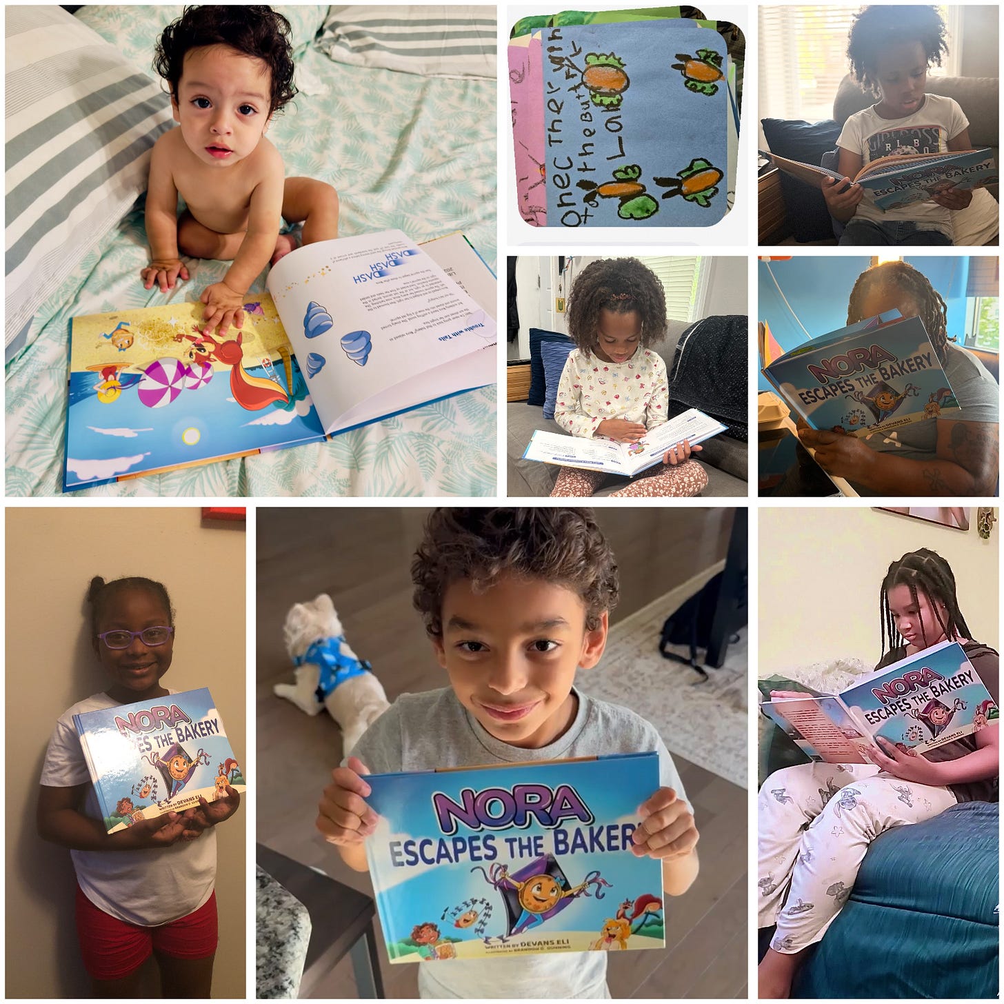 Nora Summer Adventure - Book and Photo Submissions