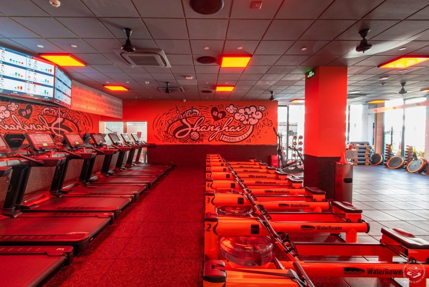Orangetheory Fitness Shanghai Orangetheory Fitness Shanghai