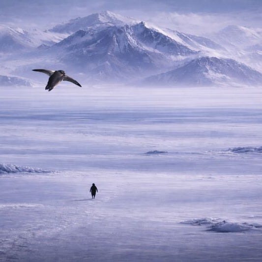 Artwork for Faustian:s Substack