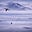 Faustian Penguin's avatar