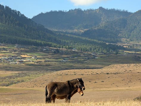 Bhutan architecture