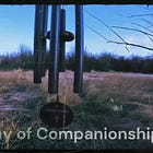 Enemy of Companionship