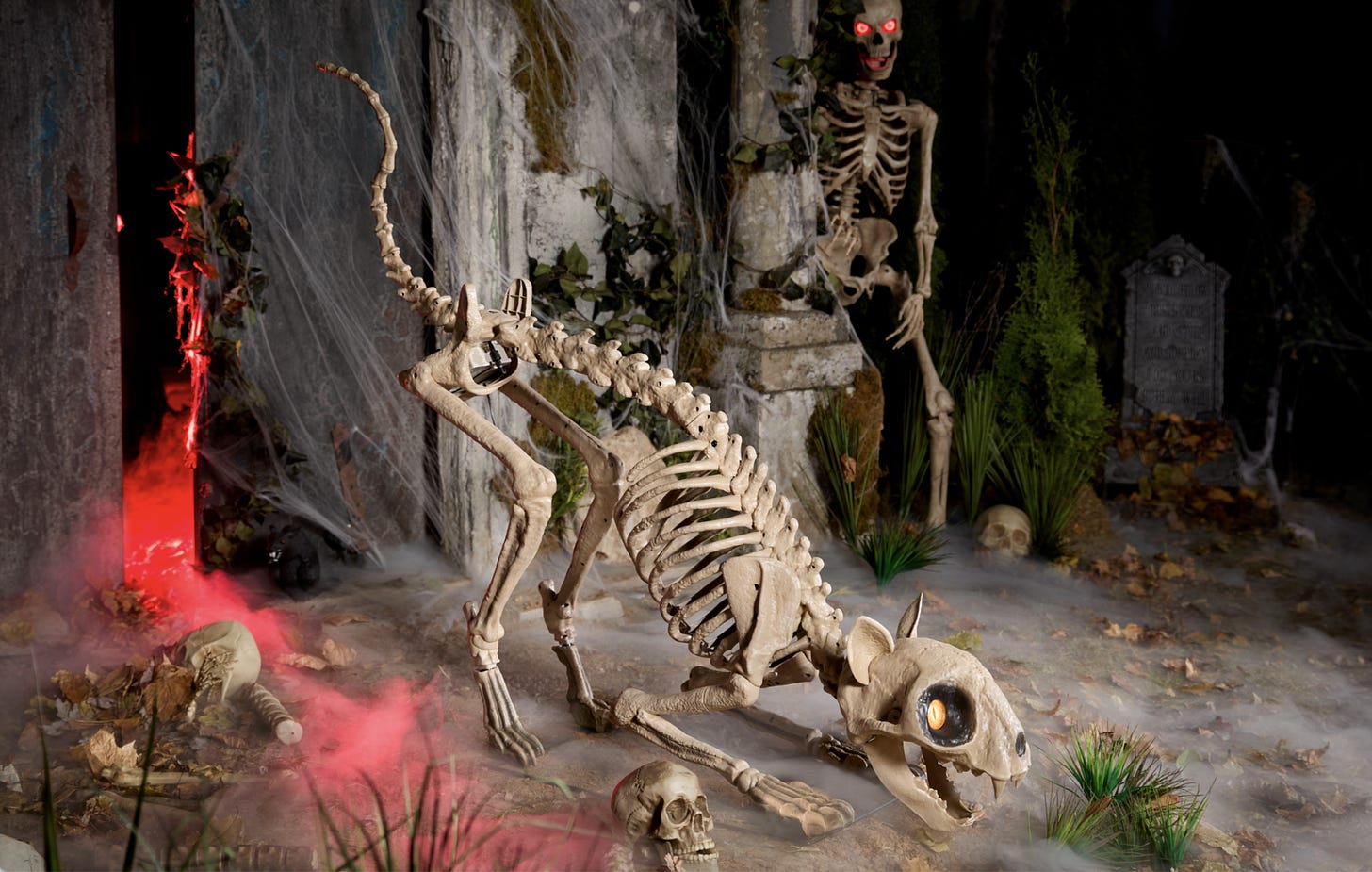 the home depot's 5-foot skelly's cat