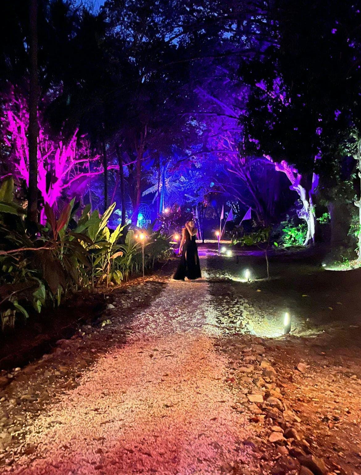 044: Walking the Path 044: Walking the Path