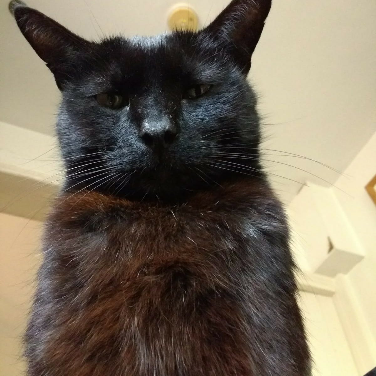 Mundane Considerations