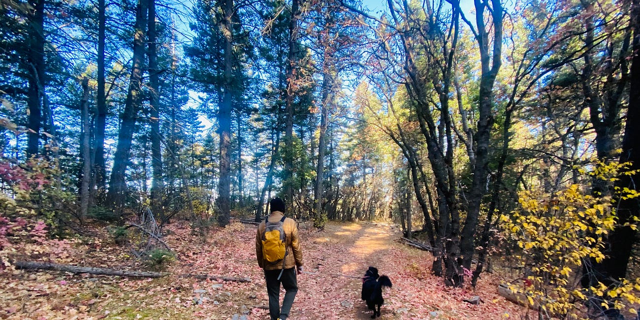 Roadless Rule Removal: Lincoln National Forest Responds to Questions