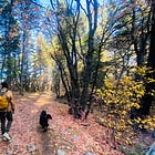 Roadless Rule Removal: Lincoln National Forest Responds to Questions 