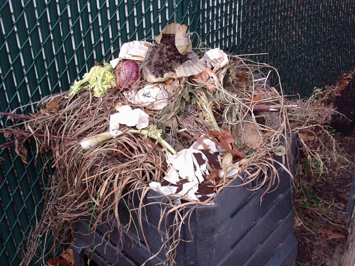 Ingredients for my world-class compost.  