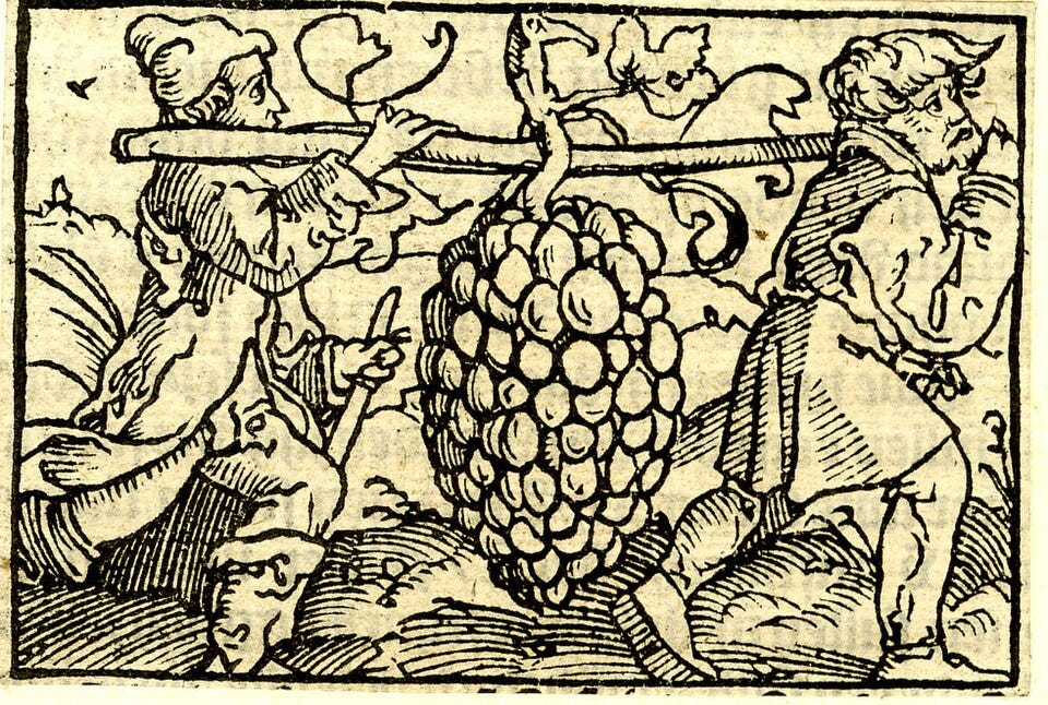 Two men carrying a large bunch of grapes on a pole; illustration to Willem Vorsterman's 'De Bibel' (Antwerp, 1528)