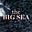THE BIG SEA's avatar