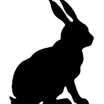 Diary of a Dissident by Jodi Shaw