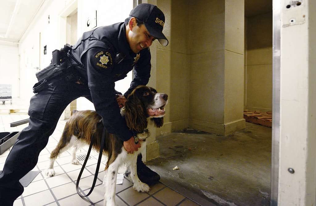 Deputy Jon Akiona of King County Sheriffs Office pets