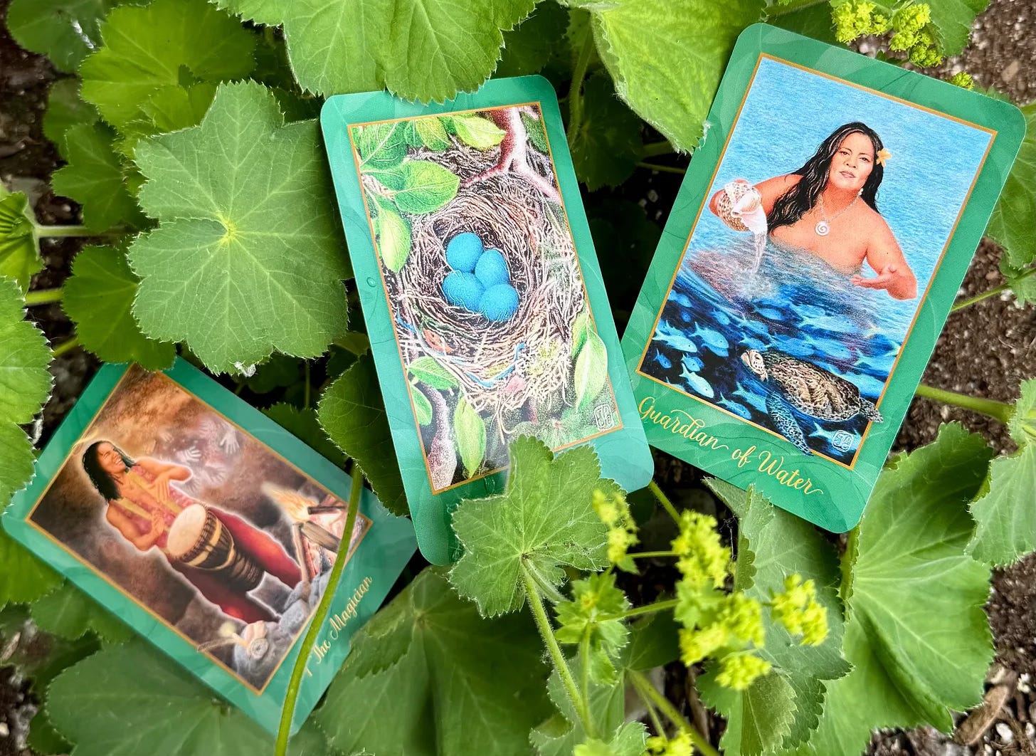 Three cards from the Gaian Tarot