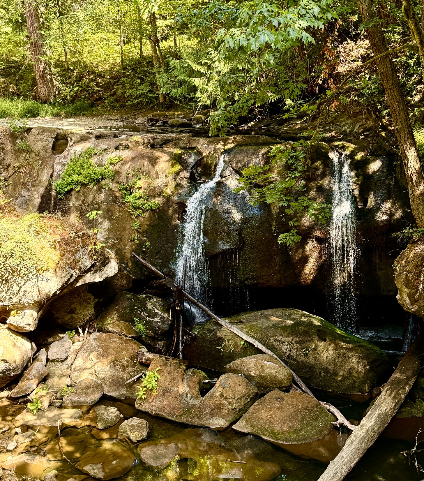 Low water, Whatcom Falls, August 2025. Photo by JPC.