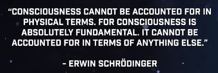 The Sentient-Field Newsletter