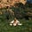 Peaceful Place Wellness's avatar