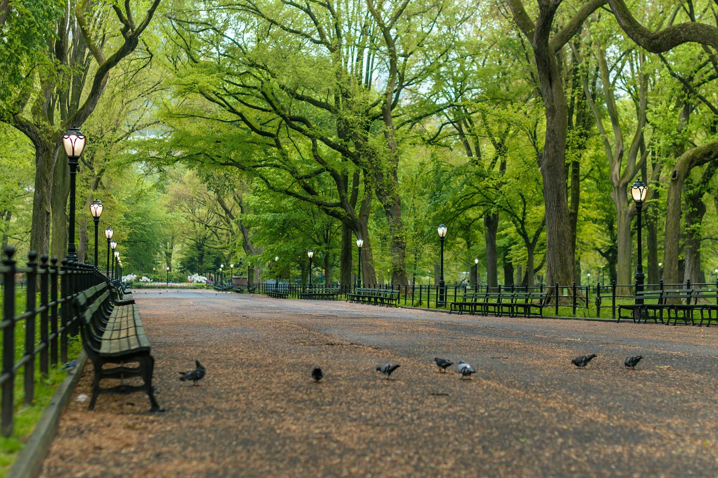 people sitting on bench near trees during daytime people sitting on bench near trees during daytime