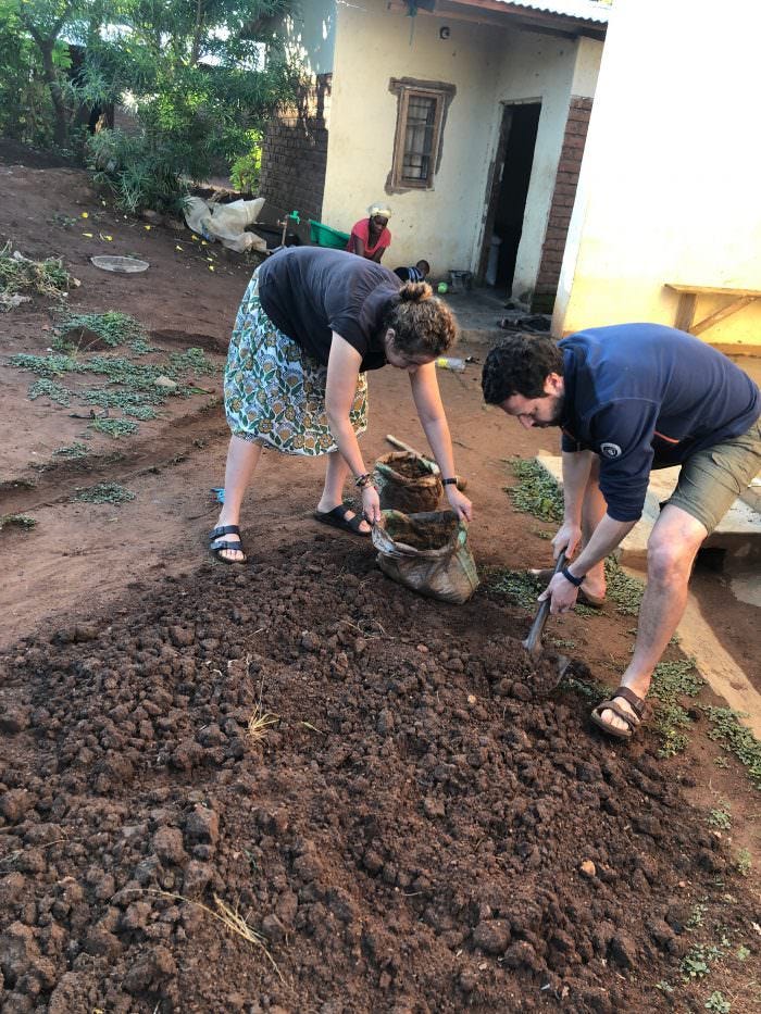 planting mustard seeds, Zomba Plateau, Africa, Malawi