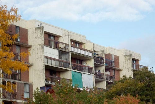 condoliving.substack.com