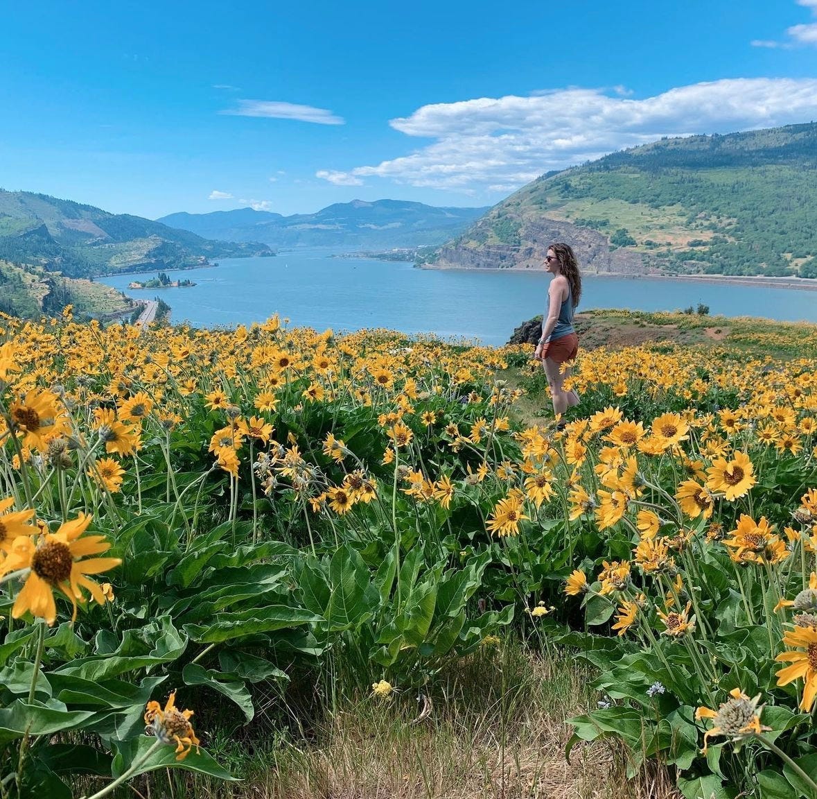 portland's best flower festivals - by Devin VonderHaar