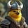 X avatar for @SwedishCanary