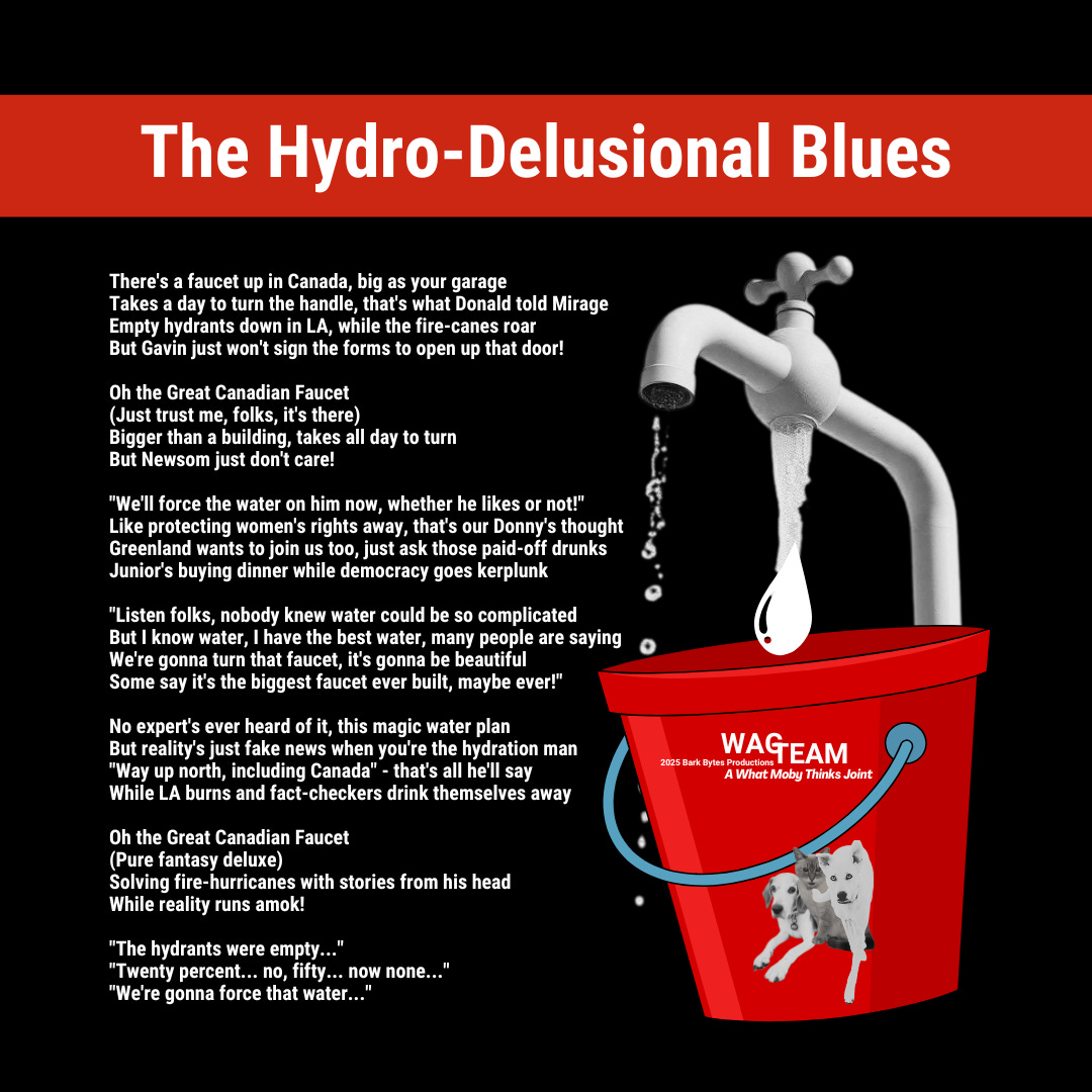 Lyrics to a satirical blues song about imaginary plumbing, displayed against a stark black background with a simple faucet dripping precious drops into a WAG TEAM bucket. The WAG TEAM babies appear to be wondering if they've wandered into the wrong timeline.