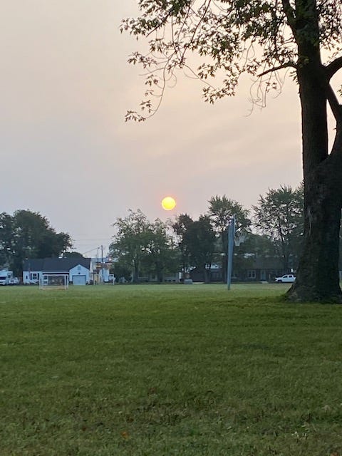 The Wonder of Joy: Nature & Happiness - sunrise